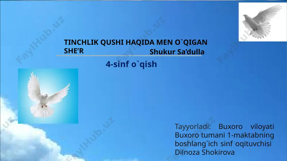 4-sinf o`qish tinchlik qushi haqida men o`qigan she'r — PPTX