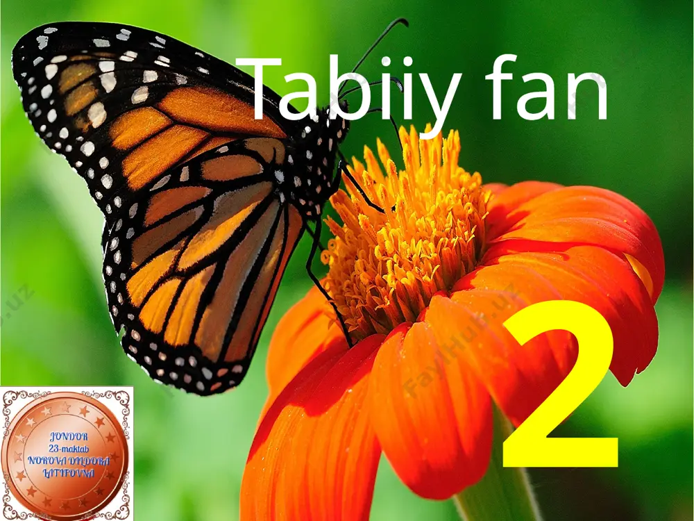 tabiiy fan 2-sinf — PPTX