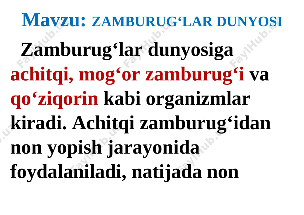 zamburug`lar — DOCX