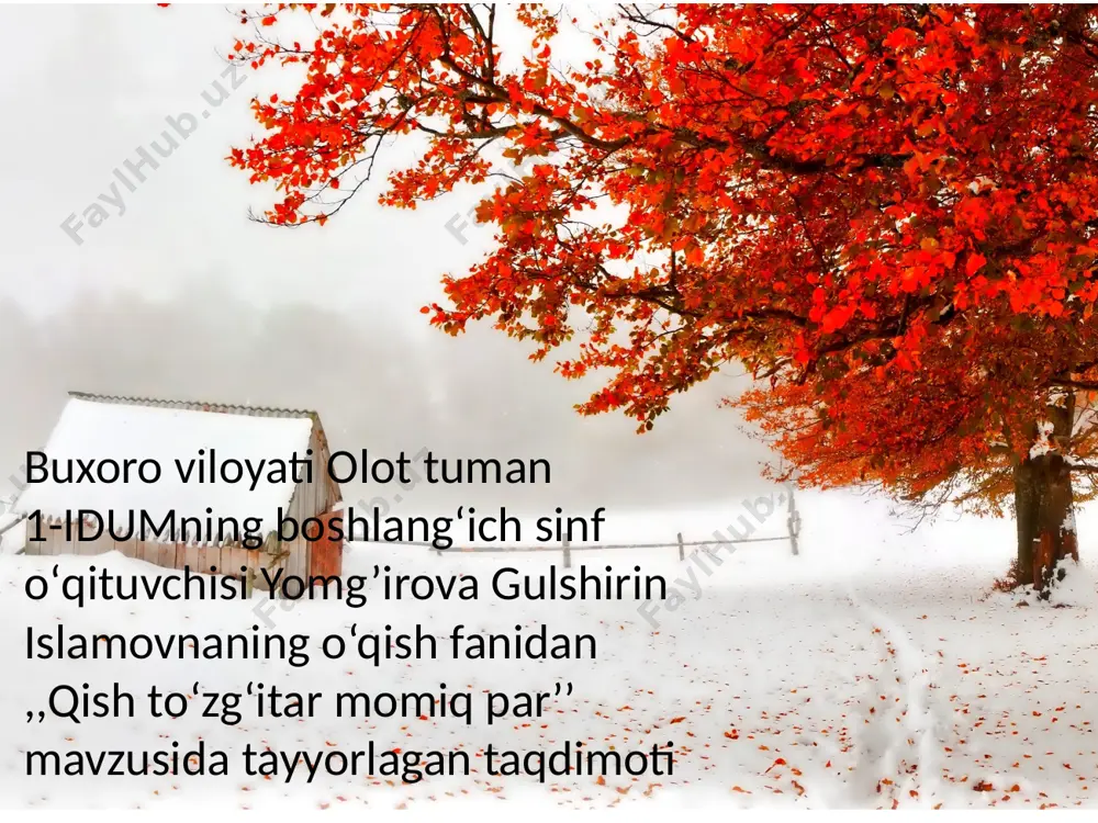 qish to‘zg‘itar momiq par — PPTX