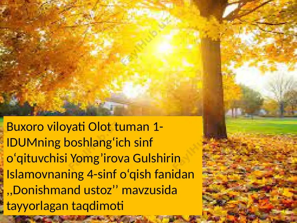 donishmand ustoz — PPTX