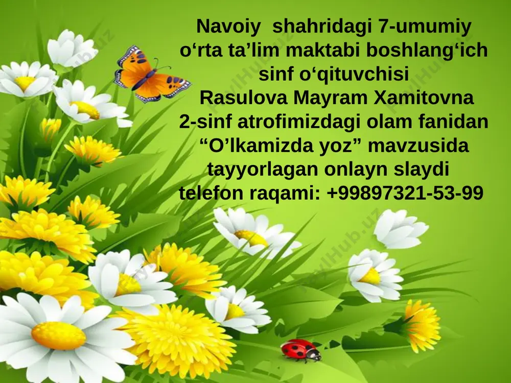 rasulova tabiat — PPTX
