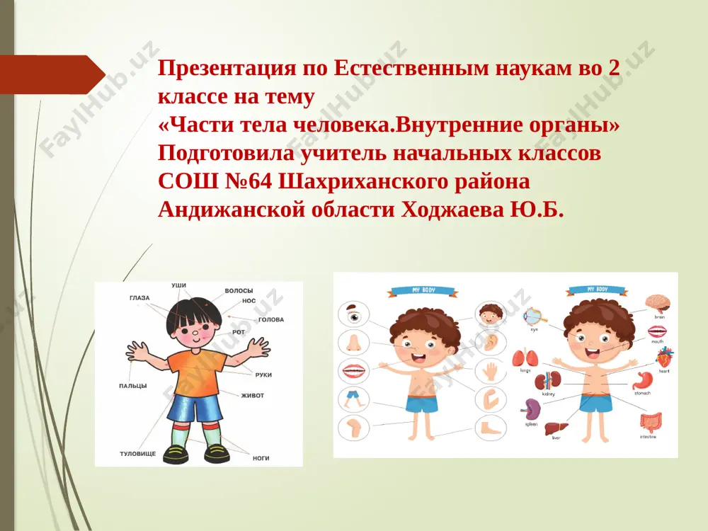 prezentatsiya_po_estestvennim_naukam_vo_2_klasse_na — PPTX
