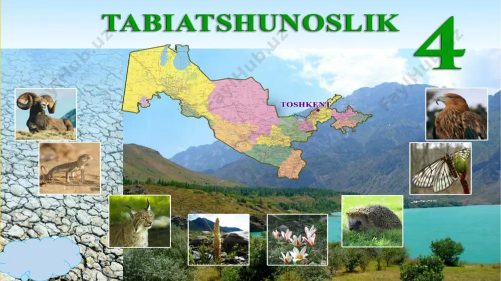 tekshirildi 4-sinf tabiat sayyoralar (2) — PPTX