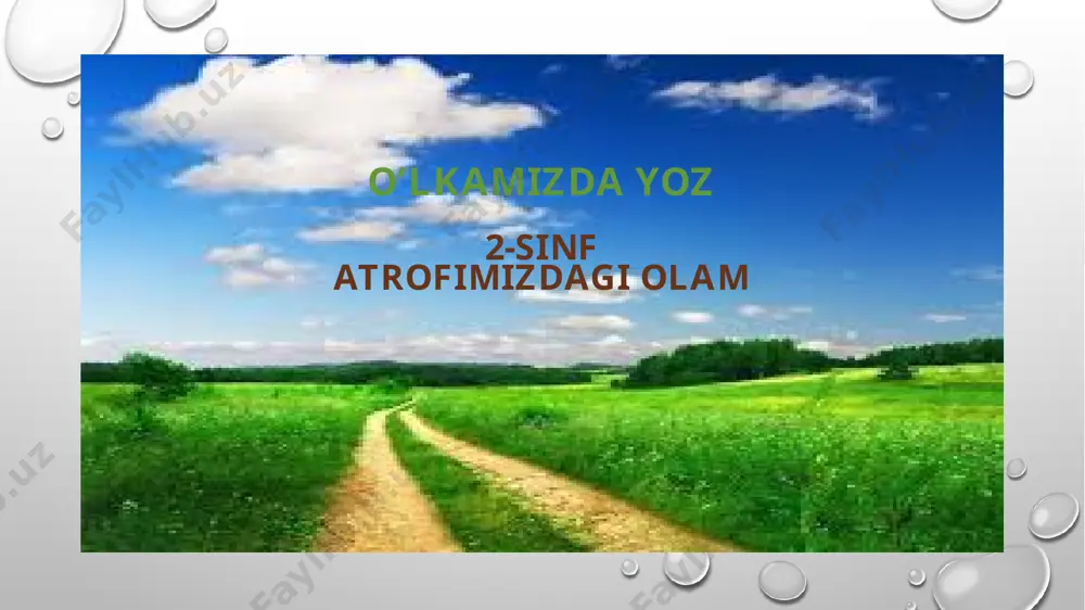 o’lkamizda yoz — PPTX