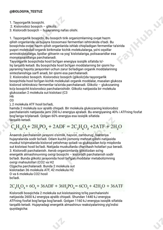 tayyorgarlik bosqichi. — PDF