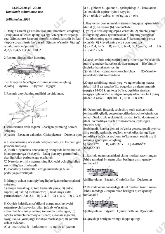2_5352661447144900038(5)(2) — DOCX