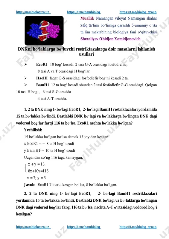 dnkni_bo‘laklarga_bo‘luvchi_restriktazalarga — PDF