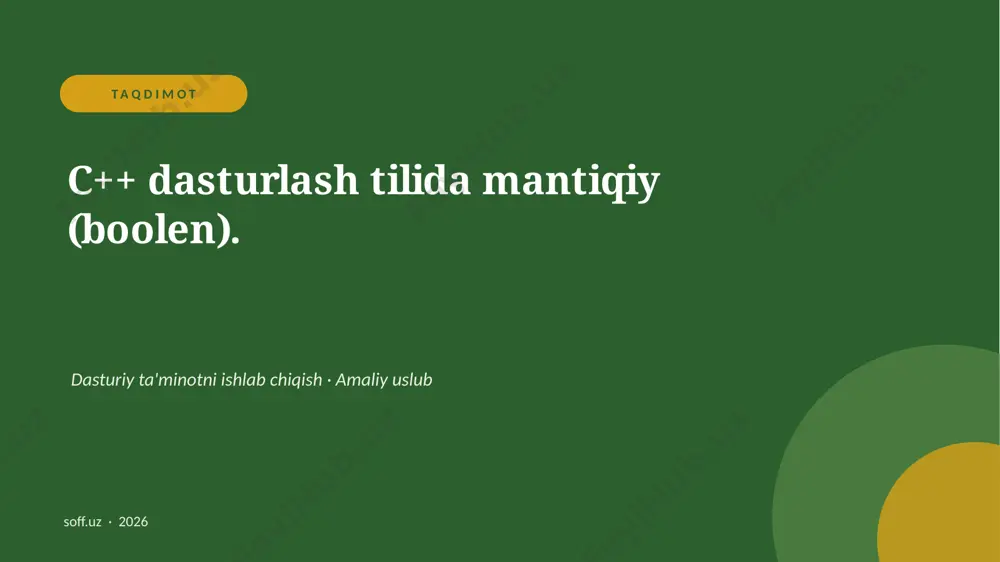 131_v2_c_dasturlash_tilida_mantiqiy_boolen — PPTX