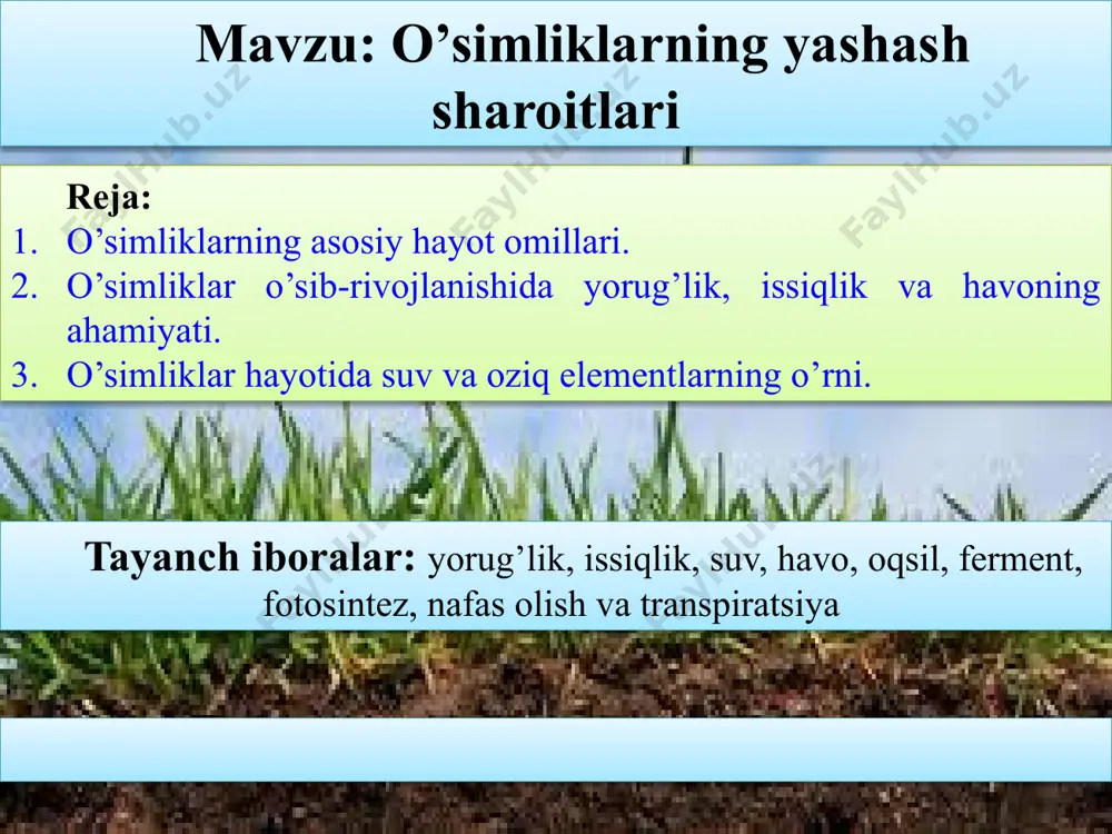 o’simliklarning yashash sharoitlari — PPTX