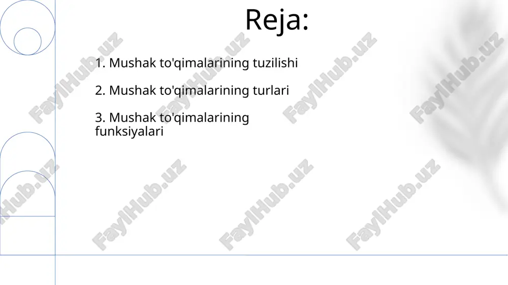 shiga olib keladi. 3. mushaklarning qisqarishi mexanizmi yurak mushak to'qimasining qisqarishi kaltsiy ionlari (ca2+) va aktin-miyozin o'zaro ta'siri orqali amalga oshirilib, yuqori darajada kuch va tezlik bilan xarakterlanadi. yurak mushagi avtomatikligi bilan ajralib turadi, ya'ni o'z-o'zidan impulslar hosil qila oladi va daqiqada 60-100 marta qisqarish chastotasini saqlaydi. yurak mushak to'qimasining hujayralari –kardiomiyositlar– o'ziga xos tarmoqlangan shaklga ega bo'lib, bir-biri bilan interkalar disklar orqali bog'langan va bu yurakning bir butun sifatida qisqarishini ta'minlaydi. 4. yurak mushak to'qimasi miozin boshchasining aktin filamenti bilan bog'lanishi va ajralishi kalsiy ionlari (ca2+) konsentrasiyasi tomonidan tartibga solinadi, bu esa troponin va tropomiozin oqsillarining rolini o'ynaydi. aktin va miozin o'zaro ta'sirlashuvi mushak qisqarishining asosiy mexanizmini tashkil qiladi, bu jarayonda 300 ga yaqin miozin boshchasi atp gidrolizini ishlatib, aktin filamentlari bo'ylab harakat qiladi. aktin va miozin o'rtasidagi kuchli bog'lanish mushak tolalarining qisqarishiga olib keladi va bu jarayon sarcomer uzunligining taxminan 20% ga qisqarishi bilan tavsiflanadi. 5. aktin va …
