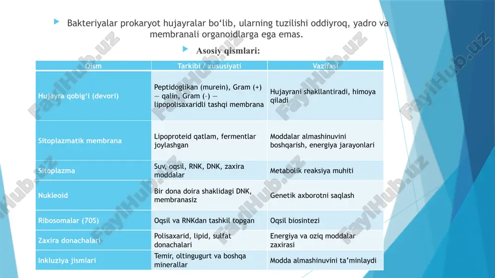 dlar ~5 energiya zaxirasi, hujayra devori tarkibi lipidlar ~9 membranalar tarkibi, energiya manbai kichik molekulalar va ionlar ~20 aminokislotalar, nukleotidlar, metabolitlar, k⁺, na⁺, mg²⁺, fe²⁺ va b. bakteriyalar o‘lchamlari bakteriya shakli / turi o‘lchami (mkm) izoh o‘rtacha bakteriya 0,5 – 5 ko‘pchilik bakteriyalarga xos kokklar (sharsimon) 0,5 – 1,5 (diametri) masalan, staphylococcus, streptococcus batsillalar (tayoqchasimon) 1 – 10 (uzunligi), 0,5 – 1 (eni) masalan, bacillus, escherichia coli spirillalar va spiroxetalar 5 – 500 (uzunligi) masalan, treponema, spirillum eng kichiklari 0,2 – 0,3 (mycoplasma) yadro va hujayra devori yo‘q eng yiriklari ~750 (thiomargarita namibiensis) ko‘z bilan ko‘rish mumkin bo‘lgan bakteriya 4-rasm. gram-manfiy bakteriyalar hujayra devorining sxematik ko‘rinishi - bakteriya tayoqchasi (rose bo‘yicha): 1 - o‘simtalar va tuberkulyarli lipoprotein qatlami; 2 - lipopolisaxarid qatlami; 3 - kanallar; 4 - erkin qadoqlangan oqsil molekulalari; 5 - glikopeptid qatlami; 6 - sitoplazmatik membrana kapsula. ko‘pgina bakteriyalarning hujayra devori tepasida shilliq qavat - kapsula bilan …
