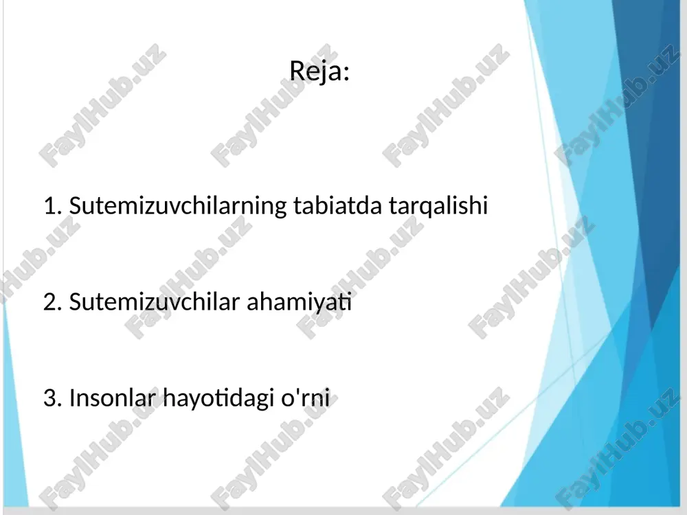 onalar tashkil etiladi; ularning ro‘yxati «qizil kitob»ga kiritiladi. “o‘zbekis­ ton respublikasining qizil kitobi”ga sutemizuvchilarning 24 turi kiritilgan. tuproqda yashov-chi sutemizuvchilar (ko‘rsichqon, yumronqoziq) in qazib, tuproqni yumshatadi. hasharotxo‘rlar (ko‘r­shapalak, tiðratikan) zararkunanda va kasallik tarqatuvchi hasha­rotlarni qiradi. yirtqichlar kasallangan hayvonlar va ular o‘laksasi bilan oziqlanganidan tabiiy sanitarlar hisoblanadi. tabiat va inson hayotidagi katta qiymati sutemizuvchilar. yovvoyi turlari funktsiyasi tabiatiga ko'ra ularga tayinlangan ayrim qilib, deyarli hamma joyda erga, havo va suv ustida taqsimlanadi. va qadim zamonlardan beri odamzod hayvonlar odamlar butun oziq-ovqat va kiyim-muammoni hal. ularning ko'rinishi juda xilma-xil, lekin umuman ular sayyora yerning to'rt oyoqli aholisi tarkibida turiga mos. eʼtiboringiz uchun rahmat image1.jpeg image2.png image3.jpeg image4.png image5.png image6.png image7.png