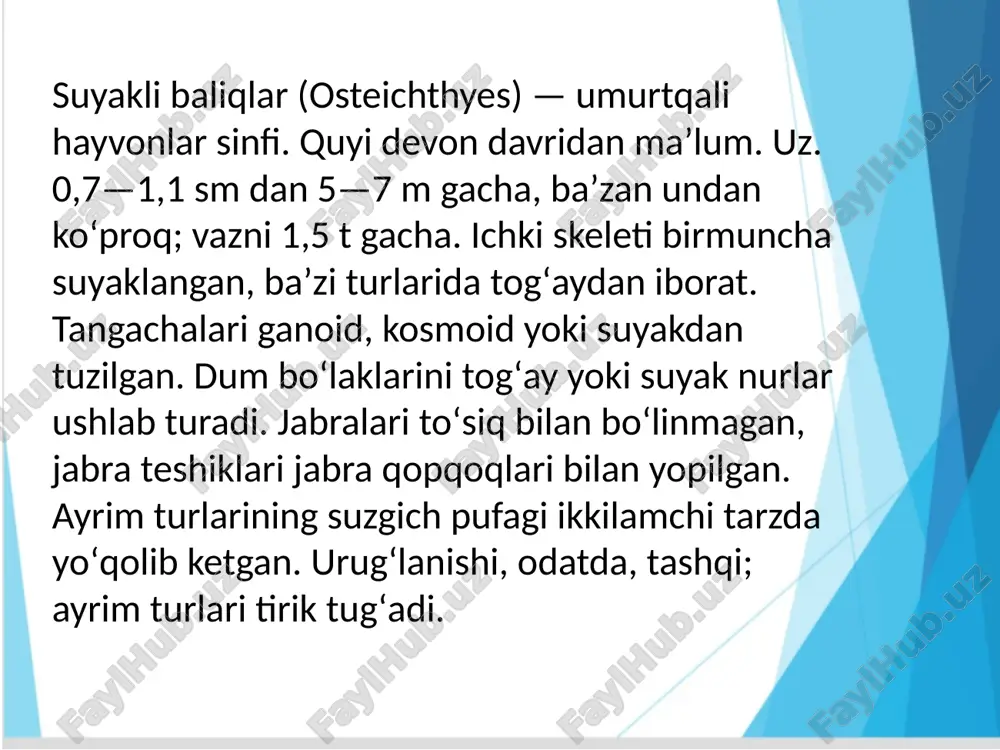 suyakli baliqlarning tashqi tuzilishi - Page 2