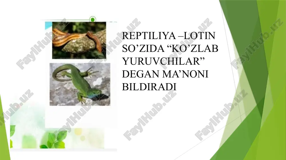 sudralib yuruvchilar va ularning kelib chiqishi - Page 2