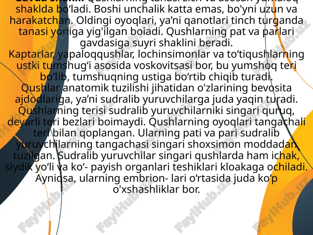 i, uya quradi, dushmanlardan o'zlarini himoya qiladi. umuman, qushlar tumshug'ining kattaligi va shakli oziq turiga qarab turli qushlarda har xil bo'ladi. tumshug'i asosida burun teshiklari joylashgan. boshining ikki yonida yirik ko'zlari bo'lib, ularda ustki va pastki qovoqlardan tashqari yumgich pardalari ham bor. ko'zlaridan orqaroqda birmuncha pastda patlari orasida quloq teshiklari joylashgan. ayrim qushlar (qirg'ovul, qur)ning boshida go'shtdor hosilalari taroq va halqalar bo'ladi. umuman, qush (kaptar, qarg'a, chumchuq)larning gavdasi nisbatan kichik boshi, uzun harakatchan bo'yni, tuxumsimon tanasi hamda bir juftdan oyoq va qanotlardan iborat. teri qoplami. qushlarning terisi yupqa va quruq bo'lib, unda hech qanday suyak tuzilmalari yo'qligi, patlardan tashkil topgan shox qoplag'ichining borligi va bezlarning bo'lmasligi bilan xarakterlanadi. ko'pchilik qushlarda faqat dum tubining ustiga o'rnashgan dum bezi bor. dum bezi o'zidan sekret chiqaradi. qushlar tumshug'i yordamida patlarini shu sekret bilan yog'laydi. bu yog'li sekret patlarni suv bilan ho'uanishdan saqlaydi. dum bezi, ayniqsa, suvda suzuvchi qushlarda yaxshi rivojlangan. quruqlikda (cho'lda) yashovchi …