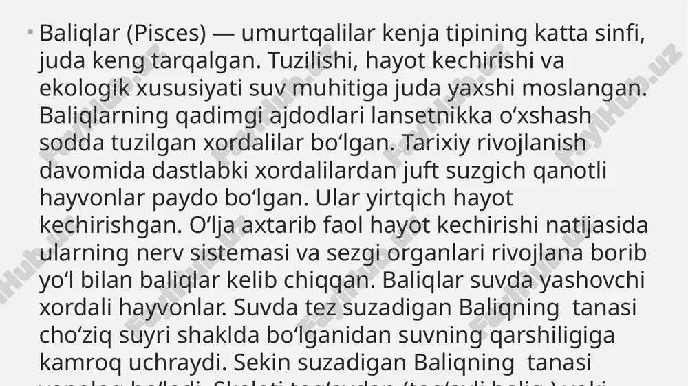 ivojlanib chiqadi. chavoqlar dastlab suvdagi mayda mikroorganizmlar, keyinroq mayda umurtqasiz hayvonlar bilan oziqlana boshlaydi. yilning oxiriga kelib, ularning uzunligi 5–10 sm ga yetadi. naslga g‘amxo‘rlik qilishi. zog‘ora baliqning nasliga g‘amxo‘rlik qilishi tuxum qo‘yish uchun joy tanlashdan iborat. tuxum qo‘yganbaliq bu joyni tark etadi. nasli to‘g‘risida g‘amxo‘rlik qilmaydigan baliqlar, odatda, juda ko‘p tuxum qo‘yadi. masalan, okun 300 minggacha, treska bir necha million tuxum qo‘yadi. ular naslining juda oz qismigina voyaga yetadi. chunki tuxumlari va lichinkalar-ining juda ko‘p qismi boshqa hayvonlarga yem bo‘ladi.ayrim baliqlarning nasli to‘g‘risida g‘amxo‘rlik qilish instink-ti kuchli rivojlangan. chuchuk suv tikanbalig‘ining erkagi urchish davrida suv o‘tlarini so‘lak bezlari ishlab chiqaradigan suyuqlik bilan yopishtirib, urg‘ochilari uchun qulay uya yasaydi. bu uyaga bir necha urğochi baliq tuxum qòyadi. erkak baliqlar uyaga qòyilgan tuxumlarni uruğlantiradi va tuxumdan chiqqan baliqchalarni mustaqil oziqlana oladigan bòlguncha himoya qilishadi.dengiz otchasi erkaklari tuxumlarini qornidagi maxsus xaltachasida olib yuradi.afrika tilyapiya baliğining erkaklari urğochilari tashlagan tuxumlarni oğiz bòshliğida olib …