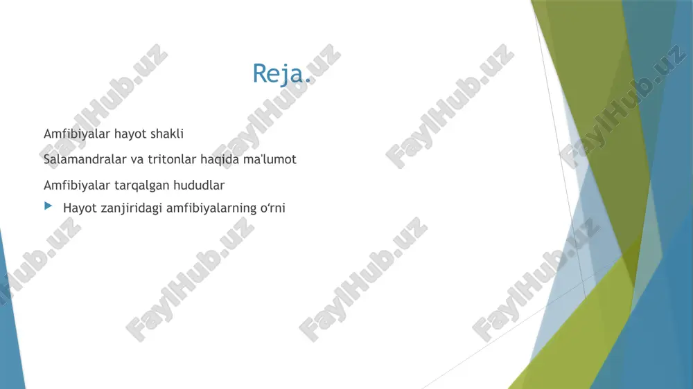 shtatlarda joylashgan. ular odatda hovuzlar, ko'llar yoki daryolar yaqinida yashaydilar, biroq bir nechta turlar nam quruqlik muhitida ko'payish qobiliyatiga ega va doimiy suv havzasini talab qilmaydi. caecilians amfibiyalarga qaraganda ko'proq yomg'ir chuvalchanglariga o'xshash mavjudot turlari. ular boshlarini yerga qazish uchun ishlatadigan ko'mgichlardir. ular afrika, markaziy va janubiy amerika va janubi-sharqiy osiyoning tropik mintaqalarida daryolar va daryolar yaqinidagi tuproqda yashaydilar . uchta lissamfibiya tartibining har birida turlarning taqsimlanishi quyidagi rasmda ko'rsatilgan lissamfibiyaning uchta tartibining geografik taqsimoti: (a) anura, qora rangda ko'rsatilgan. (b) caudata, yashil rangda ko'rsatilgan. (c) caecilians, yashil rangda ko'rsatilgan. amfibiyalar, xususan, qurbaqalar insoniyat jamiyatida muhim rol o'ynaydi. qurbaqalar o'zlarining namunali organizmlar roli orqali hayvonlarning rivojlanishini tushunishimizga katta hissa qo'shdilar . amfibiyalarning teri bezlari tomonidan ishlab chiqarilgan turli xil zaharlarning farmatsevtik qiymati bo'yicha ko'plab tadqiqotlar mavjud. bundan tashqari, qurbaqalar xitoy, frantsiya, filippin, gretsiya va amerika qo'shma shtatlarining janubiy qismlari kabi ko'plab mamlakatlarda inson oziq-ovqat manbai hisoblanadi. amfibiyalar o'zlarining ekotizimlarida yirtqichlar …