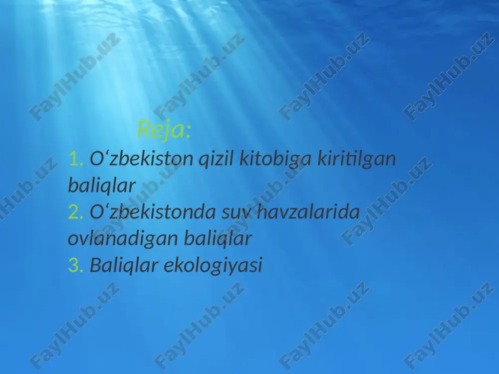 ). toshkent: «iqtisod-moliya» 2010. 2. s. dadayev, o. mavlonov "zoologiya"toshkent: «iqtisod-moliya»2008 eʼtiboringiz uchun rahmat! image1.jpeg image2.jpeg image3.jpeg image4.jpeg image5.jpeg image6.jpeg image7.jpeg image8.jpeg image9.jpeg image10.jpeg image11.jpeg image12.jpeg image13.jpeg image14.jpeg image15.jpeg image16.jpeg image17.jpeg dead fish are pictured on the banks of the guanabara bay in rio de janeiro