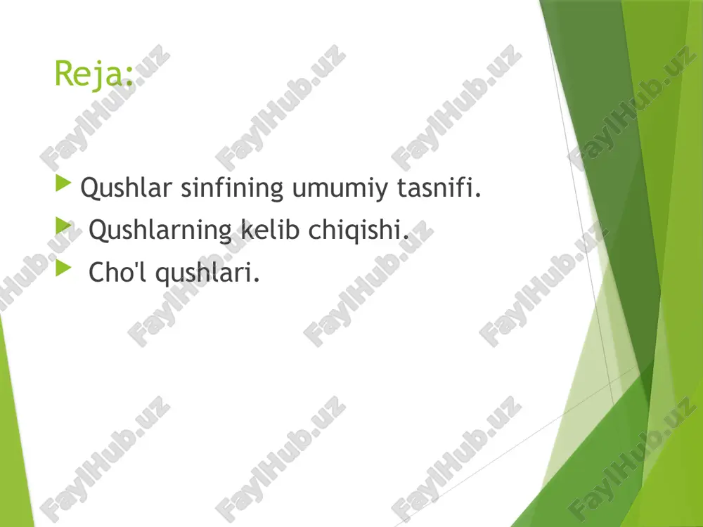 a o’zgarganligi hamda yengil va mustahkamligi bilan xarakterlanadi. skeletining yengilligi naysimon suyaklarining ichi bo’sh bo’lib, xavo bilan to’lganligi, mustaxkamligi, ko’pchilik suyaklarining juda erta bir-biri bilan qo’shilib ketganligi hamda tuzlar miqdorini ko’pligi tufaylidir.umurtqa pog’onasi 4ta bulimga, bo’yin, ko’krak, dumg’aza va dum bo’limiga bo’linadi. bo’yin bo’limi uzun va juda xarakatchan bo’ladi. bo’yin bo’limining xarakatchanligi umurtqalarining qo’shilish yuzalarini egarsimon bo’lishiga bog’liq bunday umurtqalar geterotsel umurtqa deyiladi va faqat qushlarga xosdir. qushlarning boshi 180 0 ga yapoloq qushlarniki esa 2700 gacha aylana oladi. bo’yin umurtqalari kaptarlarda 14 ta bo’ladi. qushlarning kelib chiqishi birinchi qushlardan biri yoki, ehtimol, eng qadimgi qushlar archaeopteryx lithographica nomi bilan mashhur bo'lib, u evropa germaniyasida taxminan 150 million yil oldin, yura davrining oxirida yashagan. hajmi hozirgi qarg'a yoki tovuqnikiga o'xshash bu ibtidoiy qushning tanasi patlarga to'la, yuzi tumshug'idek uzun va tishlari bor edi. old oyoqlari patli qanotlarga aylangan, uning panjasidek 3 barmog'i va ko'krak mushaklari zaif bo'lgan, shuning uchun u …
