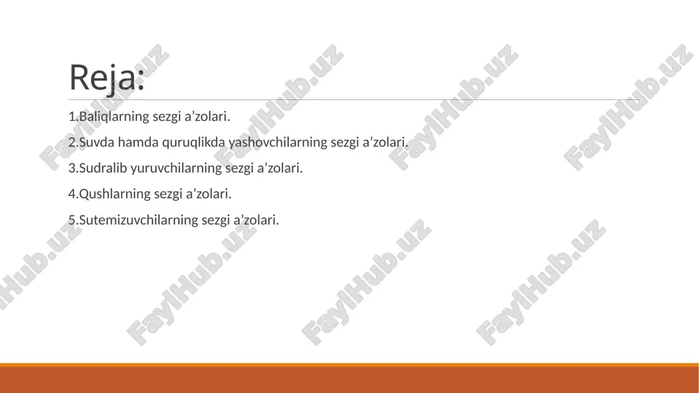 kita bo‘rtmachadan iborat yarimsharlar hosil bo‘ladi.baqa baliqlarga nisbatan sekin harakatlanishi, tanasining yer yuzasiga yaqin joylashganligi tufayli ular harakatini va tana muvozanatini boshqarib turadigan miyachasi kuchsiz rivojlangan. baqa sezgi organlarining tuzilishi quruqlik muhitiga moslashgan. ikkita qovog‘i ko‘zlarini himoya qiladi va namlab turadi. eshitish organlari ichki va o‘rta bo‘limdan iborat. o‘rta quloq ko‘zning orqasida joylashgan nog‘ora pardadan boshlanadi. tovush to‘lqinlari nog‘ora pardani tebratganida tebranish o‘rta quloqda joylashgan eshitish suyakchalari orqali ichki quloqqa uzatiladi. baqaning nerv sistemasi sudralib yuruvchilar sezgi organlari.(kaltakesak misolida) tumshug‘ining uchida ikkita burun teshigi, undan orqaroqda – boshining ikki yonida ko‘zlari joylashgan . ko‘zida yuqori va pastki qovoqlari bilan birga yupqa pardaga o‘xshash pirpiraydigan uchinchi qovog‘i ham bo‘ladi. dam-badam ochilib va yopilib turadigan bu uchinchi qovoq kaltakesak ko‘zini doimo namlab turadi. ko‘zlaridan orqaroqda joylashgan doirasimon nog‘ora parda tashqi quloq teshigini yopib turadi. kaltakesak juda yaxshi eshitadi. hatto hasharotlar o‘rmalayotganda chiqadigan tovushni ham sezadi. kaltakesakning tili tuyg‘u va ta’m bilish organi …