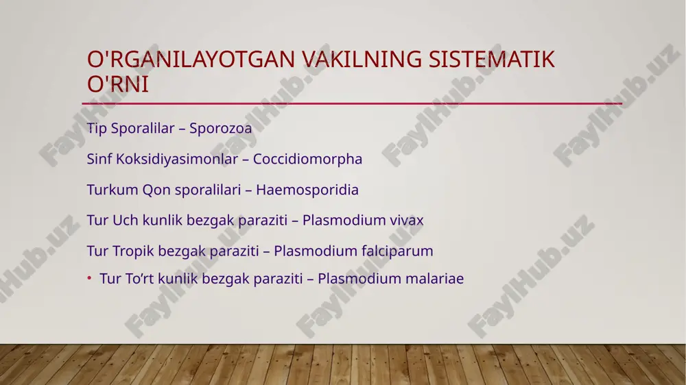 soni ko’payib, ularning bir qismi qon suyuqligiga o’tadi. har bir merozoit bir eritrositga kirib, uning gemoglobini bilan oziqlanadi, o’sib trofozoitlarni, undan so’ng shizontlarni hosil qiladi. trofozoitlarning qon hujayrasi ichidagi dastlabki rivojlanish bosqichida tanasi markazida vakuol bo’lganligi sababli uzuk shaklini eslatadi. keyinroq rivojlanishi jarayonida vakuol asta-sekin yo’qoladi va parazit amyobasimon shaklga kiradi. bunday shakldagi parazit shizont deyiladi. shizont eritrosit ichidagi gemoglobin bilan oziqlanadi, oziqaning qolgan qismi donachali qora pigment-melaninga aylanadi. shizont o’sib, eritrosit ichini to’la egallab bo’lgandan keyin, shizogoniya usuli bilan bo’linib, 10-20 tacha yangi merozoitlarni hosil qiladi. umuman merozoitlarni eritrositlar ichiga kirishi, uning trofozoitga aylanib, oziqlanib o’sishi hamda shizont davriga o’tib, bo’linib, yangi merozoitlarni hosil qilib, qon plazmasiga chiqish davri 48 soatga teng bo’ladi. odamda uch kunlik bezgak kasalligini xuruji ham har 48 soatda bir marta takrorlanadi. bezgak xuruji 5-6 soat, ba’zan 10 soat davom etadi. merozoitlar yangi eritrositlar ichiga kirib olgandan keyin xuruj to’xtaydi. eritrositlarda parazitning shizogoniya yo’li bilan …