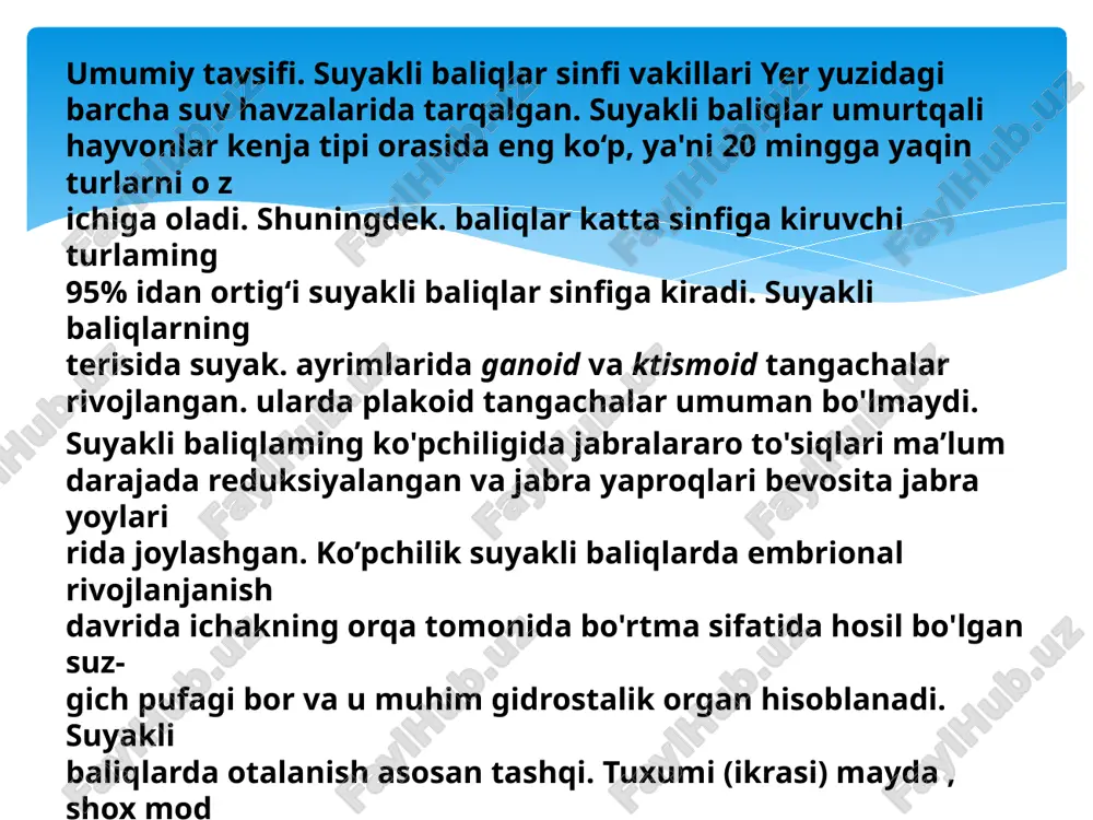 achalar bilan qoplan-j gan. odatda. tangachalari yumaloq, yupqa plastinka shaklida bo'lib. cherepitsasimon joylashgan. ayrim turlarida suyak tangachalar umuman reduksiyalangan. jabra pardalarini tutib turadigan shu'lalari bor.i flavo pufakchasi yaxshi rivojlangan. jabra apparati jabra qopqog'i bilan bekilgan. ko'krak va qorin juft suzgich qanotlarr gavdasiga nisbatan vertikal joylashgan. suzgich qanotlarini tashqi suyak nurlañ ushlab turadi. kenja sinfning nomi ham shundan olingan. ko'krak juft suzgich qanotlari gavdasining ikki yonida jabra yoriqlari orqasiga o'mashgan. qorin juft suzgich qanotlari esa qorin tomongal o'mashgan. toq suzgich qanotlariga i ta yoki 2 ta orqa suzgich qanotlari. dum suzgich qanoti va anal suzgich qanoti kiradi. tashqi tuzulishi kenja sinfning nomi ham shundan olingan. ko'krak juft suzgich qanotlari gavdasining ikki yonida jabra yoriqlari orqasiga o'mashgan. qorin juft suzgich qanotlari esa qorin tomongal o'mashgan. toq suzgich qanotlariga i ta yoki 2 ta orqa suzgich qanotlari. dum suzgich qanoti va anal suzgich qanoti kiradi.teri aoplami. suyakli baliqlaming boshini hisoblamaganda. ularning ko'pchiligining butun …