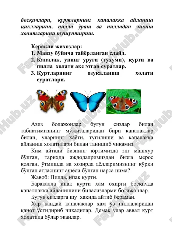 i ya'ni urug'lari kattalashtirilgan xolatda aks etgan. qachonki urug'ning ya'ni tuxumning rivojlanishi uchun qulay tabiiy shar sharoit vujudga kelganda u urug'dan kapalaknig bolasi ya'ni kichkinagina qurtcha ochilib chiqadi. bu xolat xuddi tuxumlardan jo'jalar ochilib chiqqanga o'xshash ro'y bradi. ya'ni qulay tabiiy sharoitda urug'ning ichida rivojlanish boshlanib oxiri qurt bo'lib urug'ni yorib chiqadi. demak kapalakning ilk xayot ko'rinishi bu tuxum, yoki urug' ko'rishi ekan, ikkinchi bosqichda esa o'sha urug' qurtchaga aylanar ekan. o'z ozuqasining ustida yaralgan qurtcha tezlik bilan barglarni eyishni boshlaydi va juda tez suratlarda katta bo'la boshlaydi. yuqoridagi suratda ipak kapalagining tuxum xolatidan qurt xolatiga o'tishi tasvirlangan. bizning ipak qurtlarimizning tuxumlarini esa mutaxassislar tomonidan yig'ib olib maxsus sovutgichlarda saqlanadi. baxor oylari kelganda ya'ni aprel oyida bu urug'lar maxsus inkubatoriyalarda ya'ni ipak qurtini etishtiradigan joularda ochiltiriladi. ya'ni tuxumning ochilishi uchun kerakli xavo sharoiti, issiqlik sharoitlari xosil qilinadi va tuxulardan mittigina ipak qurtlari chiqadi. ipak qurtlari asosan tut daraxti barglari bilan …