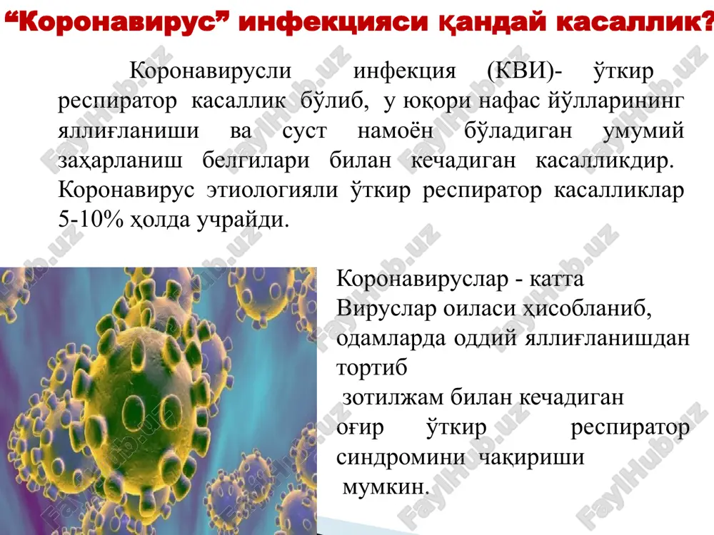 -sog'lom odamga) tibbiyot xodimlari va bemorlar oila a'zolari o'rtasida kuzatilgan. barcha holatlarda infektsiya bemor bilan yaqin muloqotda bo'lgan shaxslarda kuzatilgan. kasallik er yuzida keng tarqalgan bo'lib katta yoshdagi insonlarning 80% ida virusga qarshi antitelaning borligi aniqlangan. mavsumga qarab koronavirus infektsiyasi barcha yuqori nafas yo'llari kasalliklarining 10-35% ini tashkil qiladi. koronavirus infektsiyasi kuzning oxiri, qish va bahorning boshlarida (rinovirusli infektsiya kam uchraganda) ko'p uchraydi. epidemiologiyasi kasallik klinikasi virus yuqqandan so'ng 2-4 kun o'tgandan keyin namoyon bo'ladi. kasallik o'tkir, tana haroratining oshishi, yaqqol rivojlanmagan umumiy zaharlanish belgilari bilan boshlanadi. shuningdek, bolalarda nafas olganda ko'krak qafasida og'riq, yo'tal, quruq hushtaksimon xirillashlar eshitiladi. klinik kechishi koronavirus infektsiyasi o'tkir pnevmoniya bilan asoratlanishi mumkin. ko'krak qafasi rentgenografiyasida o'choqli yoki interstitsial infiltratlar aniqlanadi. og'ir hollarda nafas olish a'zolari faoliyati yomonlashib, ikkinchi haftada kasallik respirator distress-sindrom rivojlanishi, kattalarda bu turli a'zolar disfunktsiyasi bilan kuzatilishi mumkin. ba'zan bo'yin limfa tugunlari kattalashadi. guruhli kasallanish, asosan bir oila vakillari yoki bolalar …