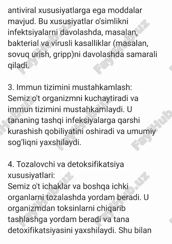 semiz ot - Page 2