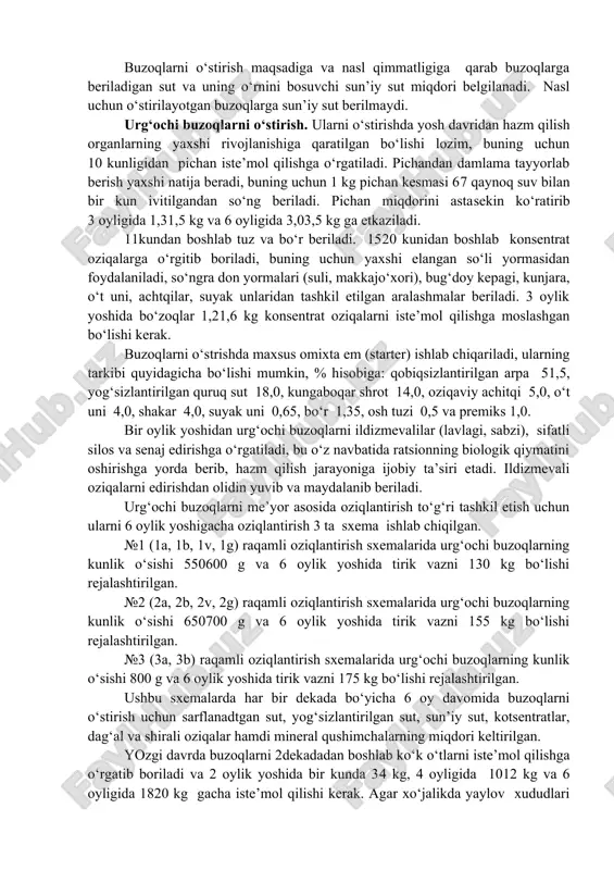 shkil etishi kerak. buzoqlarni o‘stirish maqsadiga va nasl qimmatligiga qarab buzoqlarga beriladigan sut va uning o‘rnini bosuvchi sun’iy sut miqdori belgilanadi. nasl uchun o‘stirilayotgan buzoqlarga sun’iy sut berilmaydi. urg‘ochi buzoqlarni o‘stirish. ularni o‘stirishda yosh davridan hazm qilish organlarning yaxshi rivojlanishiga qaratilgan bo‘lishi lozim, buning uchun 10 kunligidan pichan iste’mol qilishga o‘rgatiladi. pichandan damlama tayyorlab berish yaxshi natija beradi, buning uchun 1 kg pichan kesmasi 6­7 qaynoq suv bilan bir kun ivitilgandan so‘ng beriladi. pichan miqdorini asta­sekin ko‘ratirib 3 oyligida 1,3­1,5 kg va 6 oyligida 3,0­3,5 kg ga etkaziladi. 11­kundan boshlab tuz va bo‘r beriladi. 15­20 kunidan boshlab konsentrat oziqalarga o‘rgitib boriladi, buning uchun yaxshi elangan so‘li yormasidan foydalaniladi, so‘ngra don yormalari (suli, makkajo‘xori), bug‘doy kepagi, kunjara, o‘t uni, achtqilar, suyak unlaridan tashkil etilgan aralashmalar beriladi. 3 oylik yoshida bo‘zoqlar 1,2­1,6 kg konsentrat oziqalarni iste’mol qilishga moslashgan bo‘lishi kerak. buzoqlarni o‘strishda maxsus omixta em (starter) ishlab chiqariladi, ularning tarkibi quyidagicha bo‘lishi …