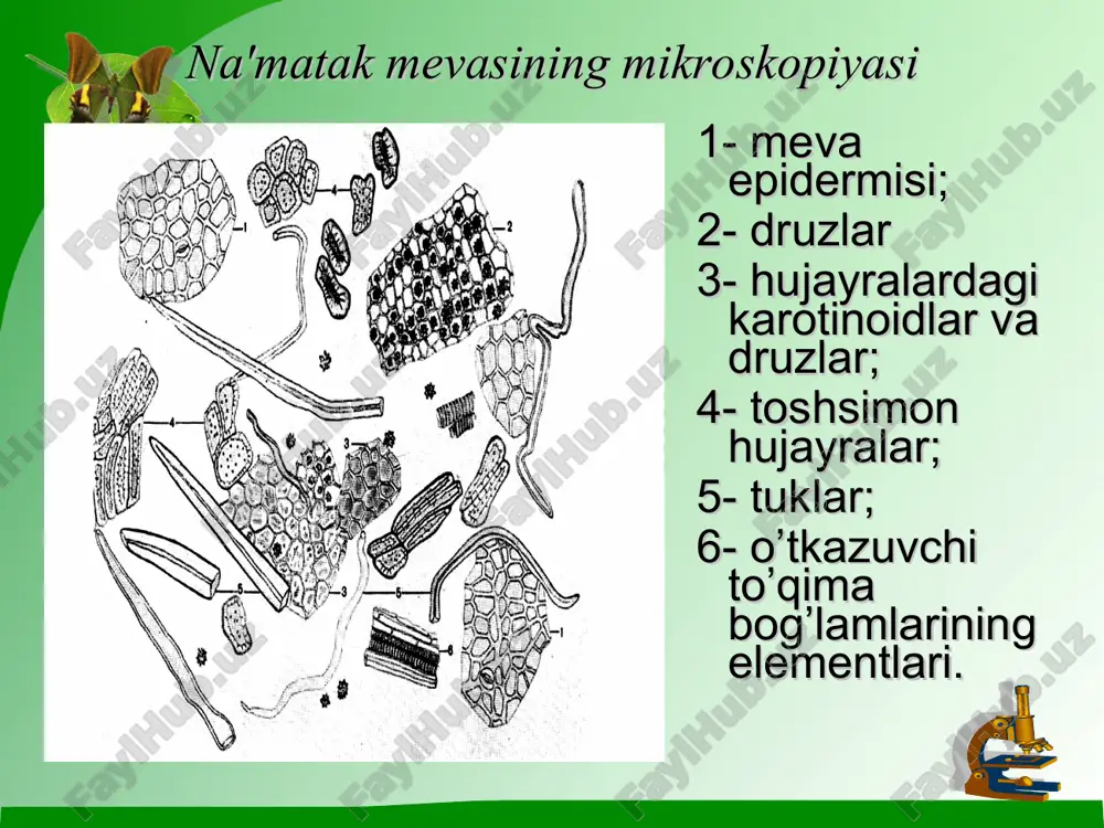 na'matak mevasi - vitaminlar - Page 2