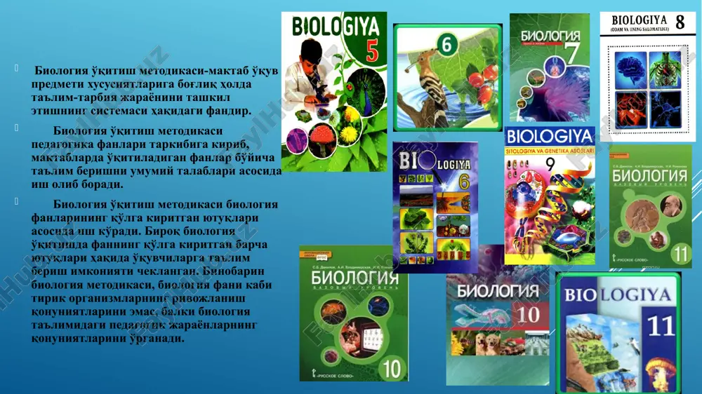 nlari bilan bog'lanadi. maktab biologiya predmetlarining mazmuni ilmiylik talabiga javob berishi zarur. shu boisdan metodika biologiya fanlari taraqqiyoti, yutuqlari, yo'nalishlarini doimo kuzatib borishi kerak. biologiya fanlarining maqsadi turli tadqiqotlar orqali tirik tabiat haqida yangi-yangi bilimlarni o'rganishga qaratilsa, maktab biologiya predmetlarining maqsadi biologiya fani qo'lga kiritgan yutuqlari haqida o'quvchilarga ta'lim berishning mazmuni, yo'llari va vositalarini o'rganishdan iborat. undan tashqari, biologiya o'qitish metodikasi agronomiya, tibbiyot, gigiena, falsafa, pedagogika va ruhshunoslik fanlari bilan ham yaqindan aloqada bo'ladi. keyingi yillarda biologiya ta'limida predmetlararo bog'lanishlardan foydalanish masalasiga e'tibor kuchayganligi munosabati bilan u kimyo, fizika, geografiya kabi qator fanlar bilan aloqada bo'lmoqda. 1. pedagogik kuzatish metodi. 2. pedagogik eksperiment metodi. 3. psixologik kuzatish metodi. biologiya o'qitish metodikasi fanining ilmiy tekshirish uslublari boshqa fanlardagiga o'xshash biologiya o'qitish metodikasining ham o'z ilmiy-tadqiqot usullari bo'lib, bu usullarni qo'llanishi natijasida olib borilayotgan ishlar biologiya o'qitish metodikasining fan sifatida taraqqiy etishiga hizmat qilmoqda. biologiya o'qitish metodikasining ilmiy-tekshirish usullariga quyidagilar kiradi. maktab …