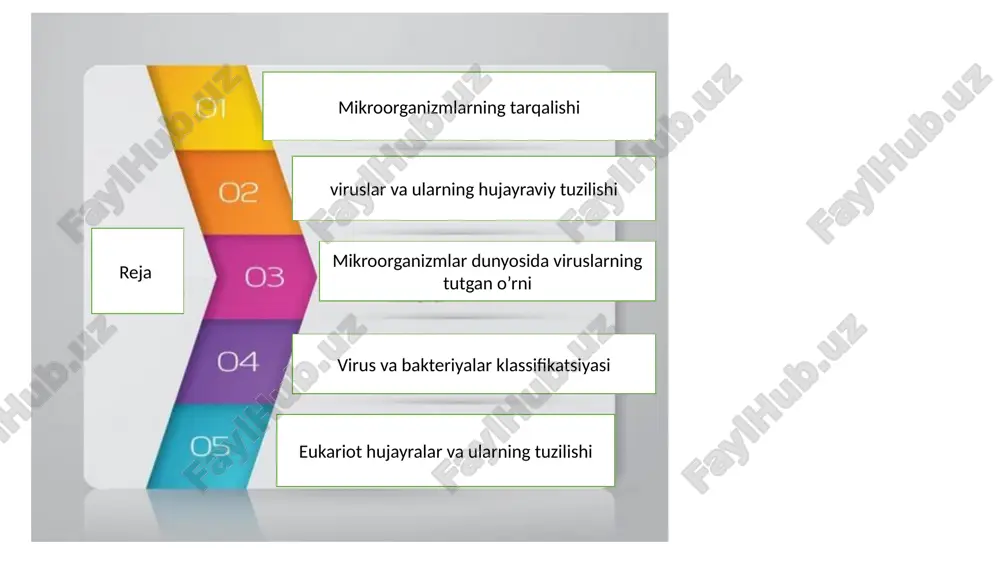 viruslar, mikoplazmalar va bakteriyalar - Page 2
