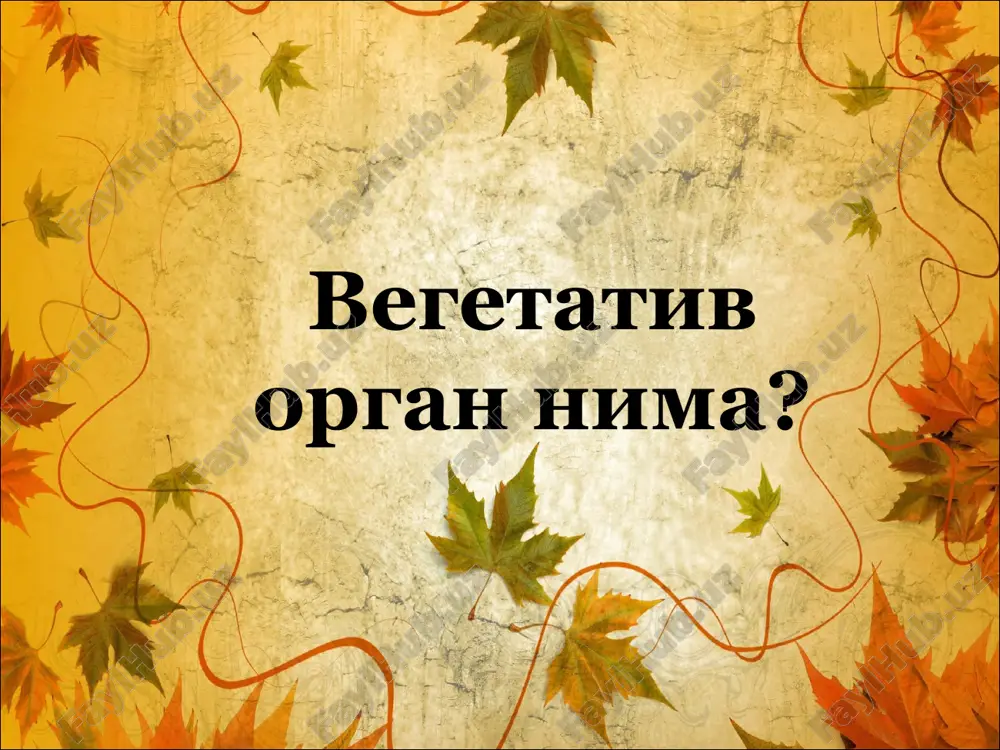 tsevidniy, d – strelovidniy) forma verxushki i osnovaniya listovoy plastinki. forma verxushki (verxniy risunok): tupoy (1), ostriy (2), zaostrenniy (3), ostrokonechniy (4) i viemchatiy (5). forma osnovaniya (nijniy risunok): klinovidnoe (6), okrugloe (7), serdtsevidnoe (8), strelovidnoe (9), kopevidnoe (10), neravnobokoe (11), srezannoe (usechennoe) (12) i sujennoe (13) klassifikatsiya drevesnix rasteniy po razmeram listev ocherednoe raspolojenie pochek suprotivnoe raspolojenie pochek padayut s vetki zolotie monetki. list ryabini image1.jpeg image2.png image3.png image4.png image5.png image6.png image7.png image8.png image9.png image10.png image11.png image12.png image13.png image14.png image15.png image16.png image17.png image18.png image19.jpeg image20.png image21.jpeg /docprops/thumbnail.jpeg