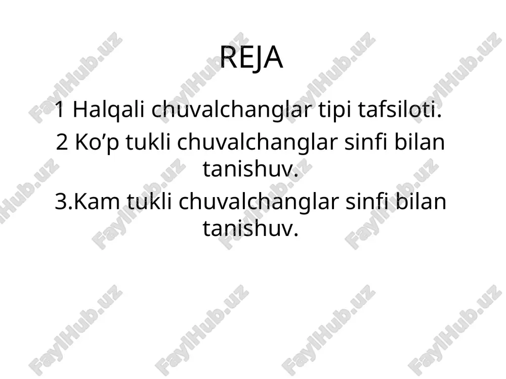 halqali chuvalchanglar - Page 2