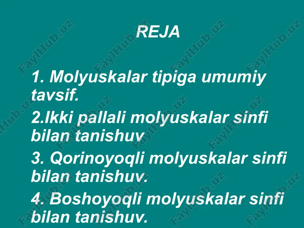 molyuskalar haqida - Page 2