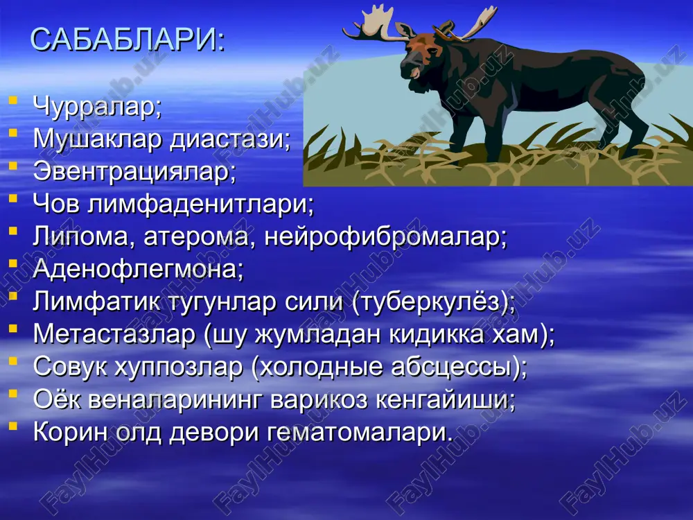 si va yoshi kuprok bolalarda uchraydi, kattalarda uchrashi xam mumkin odatda 40 yoshdan katta erkaklarda kuzatiladi, ayollarda kam uchraydi ayollarda kuprok uchraydi erkaklarga nisbatan churra joylashuvi chov boylami urtasida (ichki chov xalkasi soxasida) chov boylami ustida (tashki chov xalkasi soxasida) chov boylami pastida (kupchilik xolatlarda son churrasini limfatik tugundan farklash kiyin buladi churraning yunalishi kup xollarda yorgokga tushadi kam xollarda yorgokga tushadi xech vakt yorgokga tushmaydi kiyosiy takkoslash yorgok yoki urug tizimchasining istiskosi bilan; yorgok yoki urug tizimchasining usmalari bilan; varikotsele bilan; chov limfadeniti bilan; okma (natechniy abstsess) xuppoz bilan; uzga a'zolar usmalarining metastazlari bilan (ayniksa kindikka); lipomatoz bilan; uraxus bilan; limfogranulematoz bilan; varikoz kengaygan venalar bilan. kiyosiy takkoslash kiyosiy takkoslash kiyosiy takkoslash kiyosiy takkoslash uraxus uraxus yorgok istiskosi sovuk xuppoz (natechnik) adenoflegmona limfadenit lipomatoz lipomatoz churra sabablari churra sabablari churra sabablari kam uchraydigan churra turlari yopkich churrasi; yukori va pastki dumba churrasi; utirgich churrasi; oralik churrasi; bel churrasi: 1) …
