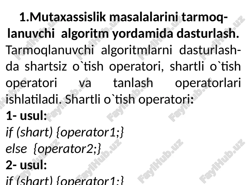 masalalarni tarmoqlanuvchi algoritmlar yordamida dasturlash - Page 2