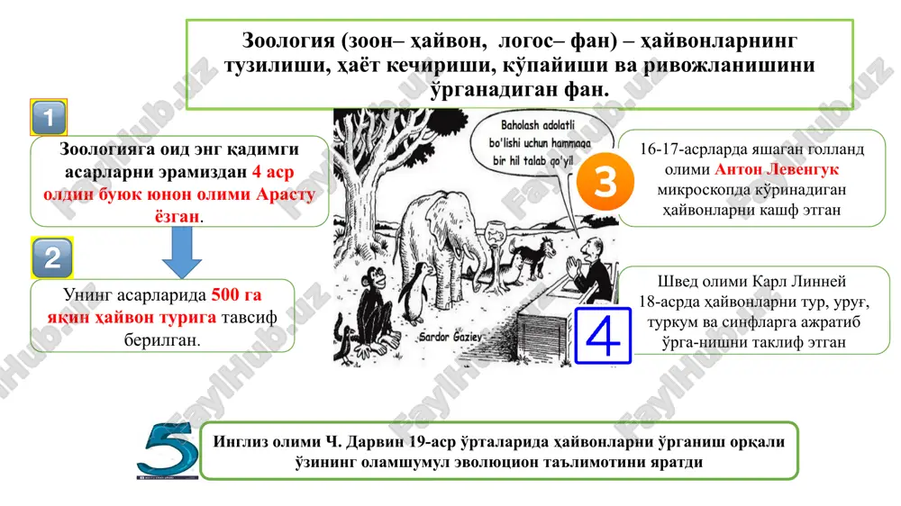 va o'simliklarda parazitlik qiladi dengiz, chuchuk suv va tuproqda hayot kechiradi odam askaridasi ingichka ichakda parazitlik qiladi urg'ochisining uzunligi 20–40 sm, erkagi 15–25 sm bo'ladi askarida ingichka ichakda hazm bo'layotgan oziqni so'rib oladi bir kecha-kunduzda 240 000 tagacha tuxum qo'yadi nam joyda tuxumlar ichida lichinkalar rivojlanadi tuxumlar iflos qo'l yoki yuvilmagan sabzavot va mevalar orqali yuqadi. 1-tuxum, 2- tuproqdagi tuxum, 3-urg'ochisi, 4-erkagi, 5-o'pkaga o'tayotgan lichenka, 6- voyaga etgan davr,7-lichenka ichakda bor bir xivich, bo'yi rosa bir qarich. tekin tomoq, ichak so'rar, bilsang ayt-chi, qanday yuqar? 1 2 3 4 5 6 7 8 9 o'rgimchaksimonlarning xilma-xilligi o'rgimchaklarning ko'pchilik turlari yirtqich bo'lib, pashsha, chivin kabi hasharotlarni qirib foyda keltiradi qoraqurt o'rta osiyo, kavkaz va qrimning dasht va cho'llarida uchraydi qoraqurt -zahari odam uchun xavfli, tuya va otlarga, ayniqsa, kuchli ta'sir etadi falangalar- o'rgimchaksimonlar orasida eng yirigi bo'lib, asosan issiq va quruq iqlimda hayot kechiradi falanga yirtqich bo'lib -hasharotlar, mayda sudralib yuruvchilar …