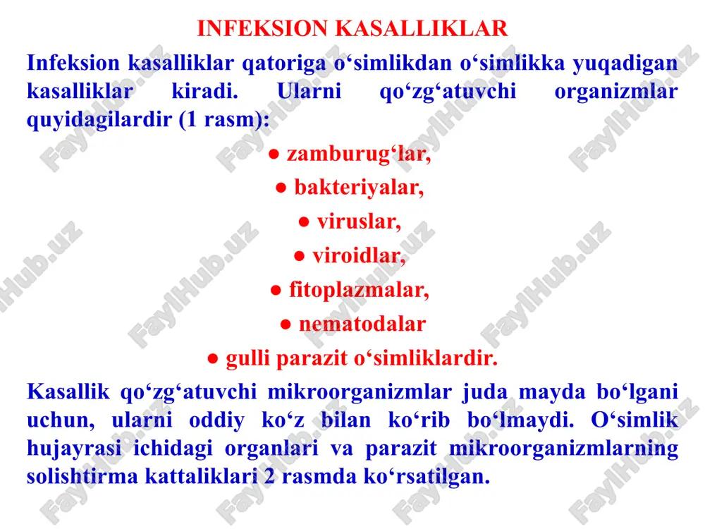 rug‘lari, ba’zi bakteriyalar va boshqalarni ko‘rsatish mumkin. avtotroflar – fotosintez jarayonida organik modda yarata oladigan organizmlardir. geterotroflar mustaqil ravishda organik moddalarni ishlab chiqara olmaydi, ular faqat avtotroflar sintez qiladigan organik moddalar hisobiga yashaydi, shu sababdan ular ma’lum darajada, energiya manbaalari sifatida, avtotroflarga muhtoj. obligat parazitlar tabiatda faqat tirik o‘simlik to‘qimalari bilan oziqlanadi va saprotrof sifatida oziqlana olmaydi (ammo laboratoriya muhitida maxsus ozuqalarda ayrim obligat parazitlarni o‘stirish mumkin). ularning qatoriga un-shudring, soxta un-shudring, qorakuya va zang kasalliklarining qo‘zg‘atuvchilari va ba’zi boshqalar kiradi. fakultativ saprotroflar odatda o‘simliklarda parazit sifatida yashaydi, ammo o‘simlik qoldiqlarida saprotrof shaklida ham yashay oladi. masalan, olmada kalmaraz qo‘zg‘atuvchi venturia inaequalis zamburug‘i butun o‘suv mavsumida olmaning barglari va mevalarini zararlab, parazit shaklida hayot kechiradi, barglar to‘kilgach esa, hayotini ularda saprotrof sifatida davom ettiradi va keyingi mavsumgacha saqlanadi. fakultativ parazitlar ham saprotrof, ham parazit shaklida hayot kechiradi. ular xo‘jayin o‘simliklarni zararlaab, parazit sifatida yashaydi, o‘simlik nobud bo‘lgach, uning organik birikmalari …