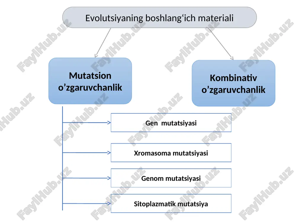 at mutant gomozigota borligi, boshqa populyatsiya tarkibida u tamoman uchramasligi, uchinchilarida esa dominant hamda retsessiv allel formalar borligi aniqlandi. populyatsiya genofondidagi genlarning tasodifiy o‘zgarishi genlar dreyfi deyiladi. genlar dreyfi. populyatsiya to`lqini — boshlang`ich evolyutsiya omili sifatida. tur yoki populyatsiyada bo`g`indan-bo`g`inga o`tgan sari organizmlar sonining o`zgarib turishi «hayot to`lqini» yoki «populyatsiya to`lqini» deb ataladi. tur yoki populyatsiyaga mansub organizmlarning son jihatdan o`zgarib turishining aniq sabablari turli-tumandir. ular muhitning biotik va abiotik omillariga ta’luqlidir. * populatsiya to’lqini ob-havo qulay bo‘lgan yillari ayrim hayvon, o‘simlik turiga kiruvchi organizmlarning ko‘payib ketishi, hayot uchun noqulay bo‘lgan yillarda esa keskin kamayib ketadi. har bir populyatsiyaga kiruvchi organizmlar ham bunday hodisadan mustasno emas. bahorda yog‘insochin ko‘p bo‘lgan yillarda bir yillik, ko‘p yillik o‘t o‘simliklar — boychechak, yaltirbosh, qo‘ng‘irbosh, qoqiyo‘t, ituzum avj olib o‘sib, ko‘p urug‘ beradi. natijada ular bilan oziqlanuvchi hasharotlar, o‘txo‘r hayvonlar soni ham ko‘payib ketishi mumkin. hasharotlarning, o‘txo‘r hayvonlarning ko‘payishi o‘z navbatida hasharotxo‘r qushlar, yirtqich …