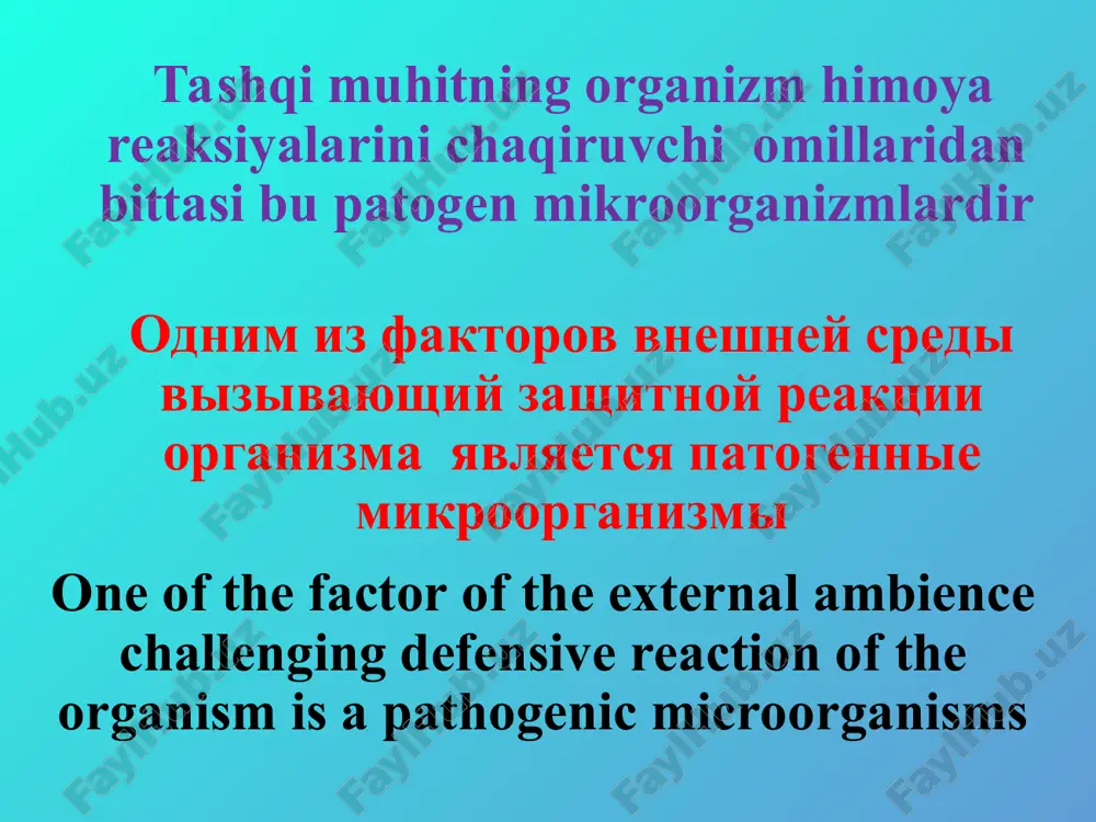 and surgical infection remain and will remain one of the main problems to general surgery xozirgi kunda yiringli kasalliklari bo’lgan bemorlar umumiy xirurgik bemorlarning 25% tashkil qiladi na segodnyashniy den bolnie s gnoynimi zabolevaniyami sredi obshego chisla xirurgicheskix bolnix sostavlyayut 25% for present-day day sick with purulent diseases 25% form amongst the total number surgical sick xirurgik infeksiyani uchrashi chastota xirurgicheskoy infektsii the frequency to surgical infection xirurgik infeksiyani oldini olishning asosida quyidagilar yotadi organizm himoya kuchlarini oshirish terining mikroflora bilan ifloslanishini kamaytirish v osnove profilaktiki xirurgicheskoy infektsii lejit: usilenie zashitnix sil organizma umenshenie zagryazneniya koji mikrofloroy in base of the preventive maintenance to surgical infection lies: the reinforcement of defensive power of the organism the reduction of the soiling the skin microbial flora xirurgik infeksiyani oldini olishning asosida quyidagilar yotadi shillik qavatlarning mikroflora bilan ifloslanishini kamaytirish har xil shikastlanishlarni oldini olish jarohatlarga o’z vaqtida xirurgik ishlov berish v osnove …