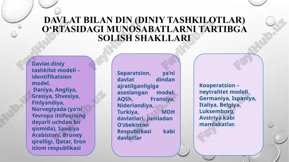 i yig'adi va o'rta maktablarda diniy ta'limning mavjudligi ham germaniya konstitutsiyasi tomonidan kafolatlangan. shvetsiya, daniya va norvegiyada diniy tashkilotning maqomi boshqa mamlakatlarda bo‘lgan maqomidan jiddiy farq qiladi. skandinaviya mamlakatlarining xarakterli belgisi – protestantizmning qat’iy ustuvorligi hisoblanadi - bu mamlakatlarda aholining 90 foizidan ko‘prog‘i protestant cherkoviga mansubdir. 1979 yili 23 dekabrda tasdiqlangan eron islom respublikasining konstitutsiyasida aytilishicha, «eronda 12 ta imomlarning mavjudligini nazarda tutuvchi ja’fariya mazhabi rasmiy din sifatida e’tirof etiladi hamda bu qoida abadiy o‘zgarmas bo‘lib qoladi» (12-modda). «barcha fuqarolik, moliyaviy, iqtisodiy, ma’muriy, madaniy, harbiy, siyosiy va boshqa qonun-qoidalar islom normalari asosida belgilanishi lozim» (4-modda). o‘zbekistonda tarkib topgan davlat va din o‘rtasidagi munosabat o‘z mohiyati, mazmuni va huquqiy asoslariga ko‘ra separatsion modelga, ya’ni davlatdan din, umumta’lim maktablaridan diniy ta’limning ajratilganligi va vijdon erkinligi, konfessional bag‘rikenglik ta’minlanganligiga asoslanadi. o‘zbekiston dunyoviy davlat bo‘lib, mamlaktimizda din davlatdan alohida bo‘lib, bu haqda mamlakatimiz konstitutsiyasining 61-moddasida shunday deyiladi: «diniy tashkilotlar va birlashmalar davlatdan ajratilgan hamda …