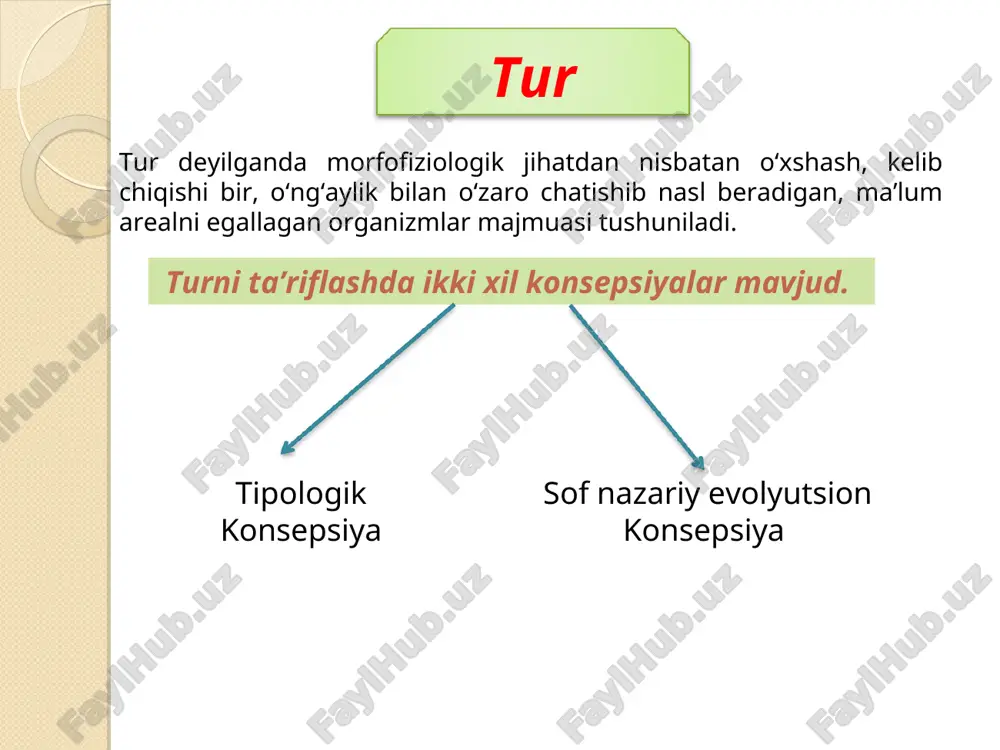 `liq qo`llash mumkin. partenogenez yo`li bilan ko`payuvchi yoki o`z-o`zidan changlanuvchi organizmlarga nisbatan esa to`liq qo`llash juda qiyin. bunday organizmlarda ma’lum territoriyada tarqalgan umumiy evolyutsion qismat bilan bog`liq bo`lgan yaqin biotiplar sistemasi jinsiy ko`payuvchi, chetdan urug`lanuvchi organizmlardagi tur tushunchasiga teng keladi. tur turga mos belgi-xossalari yig‘indisi tur mezonlari deb ataladi. morfologik mezon. fiziologik mezon biokimyoviy mezon geografik mezon ekologik mezon genetik mezon tur mezonlari. * morfologik mezon bir turga kiruvchi individlarning tashqi va ichki tomonidan o‘xshashligini ifodalaydi. qora qarg‘a va ola qarg‘a har xil turlarga mansub. ularni siz tashqi tomondan farqlay olasiz. bir turga kiruvchi organizmlar ham ba’zi belgi-xossalari bilan o‘zaro farq qiladi. lekin ulardagi farq har xil turga kiruvchi organizmlar farqiga nisbatan juda kam bo‘ladi. shu bilan bir qatorda tashqi tomondan bir-biriga juda o‘xshash, lekin o‘zaro chatishmaydigan turlar ham uchraydi. ular qiyofadosh turlar deyiladi. masalan, drozofilada 2 ta, bezgak chivinida va qora kalamushda ham 2 ta qiyofadosh turlar ma’lum. qiyofadosh …