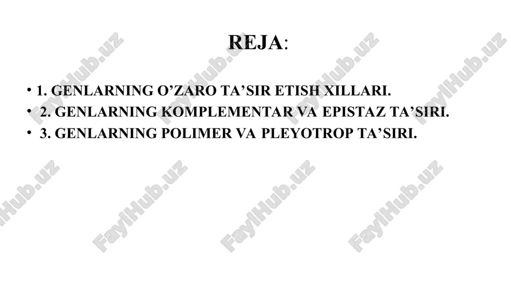 gen taʼsiridan ustun bo‘lishi. allel bo‘lmagan bir xildagi bir nechta gen bitta belgining rivojlanishiga o‘xshash taʼsir ko‘rsatishi genlarning polimer taʼsiri deyiladi. 4-slayd kelib chiqishi har xil, lekin oq rangda gullaydigan no‘xotlar (aavv x aavv) chatishtirilganda, birinchi bo‘g‘in qizil rangli (aavv) bo‘lib gullaydigan no‘xot o‘simligining paydo bo‘lishi va ular o‘zaro (aavv x aavv) chatishitirilganda ikkinchi bo‘g‘inda belgilarning ajralishi 9:7 nisbatda bo‘ladi. qora (aavv) sichqon bilan albinos (aavv) sichqon chatishtirilganda, birinchi bo‘g‘inda kul rang (aavv) sichqon vujudga keladi. kul rang sichqonlar o‘zaro chatishtirilganda, (aavv x aavv) ikkinchi bo‘g‘inda 9 ta kul rang, 3 ta qora va 4 ta oq rangli sichqonlar paydo bo‘ladi, fenotip bo‘yicha ajralish 9:3:4 nisbatda bo‘ladi. agar kelib chiqishi har xil (aavv x aavv), lekin shakli sharsimon qovoqlar chatishtirilsa, f1 da faqat gardishsimon (aavv) qovoqlar vujudga keladi. f2 da ajralish 9:6:1 nisbatda, yaʼni 9 ta gardishsimon, 6 ta sharsimon, 1 ta cho‘zinchoq qovoqlar hosil bo‘ladi. bunda dominant komplementar genlarning …