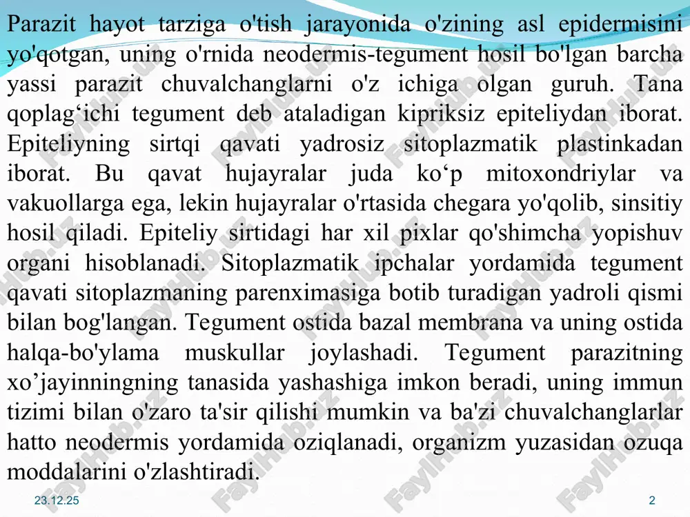 i kengayib yoki torayib va parazit xo‘jayin organlariga yopishib oladi. tananing oldingi uchida joylashgan og'iz teshigi yumaloq yoki oval bo'lishi mumkin bo'lgan ektodermal mushak so'rg'ich halqumiga olib keladi. halqumdan keyin tor va qisqa qizilo'ngach joylashgan. endodermal o'rta ichak ko'pincha tananing yon tomonlariga parallel ravishda joylashgan va uchi berk tugaydigan ikkita shoxdan iborat. jigar qurtida ichak ko‘p marta shoxlanadi. bu hayvonning tanasida ovqat hazm qilish mahsulotlarini taqsimlash jarayonini osonlashtiradi. ayrim trematodalarda ichak shoxlari halqa shaklida yopiladi . juda kichik trematodalarda, aksincha, ichak shoxlarini qisqartirish va kamaytirishi mavjud. anenterotrema avlodiga mansub trematodalar umuman ichakka ega emas. bir qator trematodlarda anusga o'xshash qism bor. * * ba'zi hollarda shoxlarning so'nggi bo'limlari birlashib, bitta anal teshikni hosil qiladi, boshqa hollarda ikkala shox mustaqil anal teshiklari bilan tugaydi. exinostomat oilasining o‘ziga xos vakillarida ichak shoxlarining orqa qismi siydik pufagi bilan qo‘shilib, chiqarish teshigi anus vazifasini bajaradi.ichak epiteliyasi ikki turdagi hujayralar bilan ifodalanadi. ulardan biri baland …