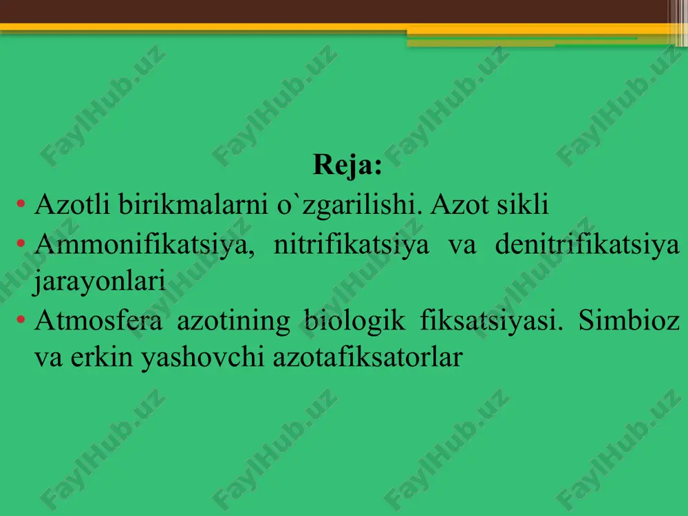 amida dezaminatsiya qilinib, azotli moddalar ammiak yoki ammoniy shakliga o‘tadi. oqsillar ammonifikatsiyasi (azotni minerallanishi) 1)ammiakni ajralishi bilan boradigan dezaminlanish r. ch2· chnh2 · soon r-ch=ch· soon +nh3 2)oksidlanish bilan boradigan dezaminlanashi r. ch2 · chnh2 · soon +1/2o2 r. coh · soon+nh3 3) qaytarilish natijasida dezaminlanish r. ch2-chnh2- soon + h2 r-ch2 · sn2· coon +nh3 4) dekarboksillanish reaktsiyasi r-ch2-chnh2-cooh r- ch2-nh2+co2 3-bosqich: nitrifikatsiya: ammoniy ionlari (nh₄⁺) nitrifikatsiya jarayoni orqali nitrit (no₂⁻) va nitrat (no₃⁻) ga aylanadi. denitrifikatsiya: ayrim sharoitlarda ammoniy yana gaz holatidagi azotga (n₂) aylanib, atmosferaga chiqib ketishi mumkin. o‘simliklar tomonidan so‘rilishi: ba’zi o‘simliklar nh₄⁺ ionlarini o‘ziga singdirib, o‘sish jarayonida ishlatishi mumkin. pseudomonadaceae oilasi pseudomonas avlodi p. fluorescens p. aeruginosa bacillaceae oilasi clastridium avlodi cl.sporogenes cl. putrificus bacillaceae oilasi bacillus avlodi b.mycaides b. subtilis enterobacteriaceae oilasi proteus avlodi proteus vulgaris ammonifikatsiyaning salbiy ta’siri suv va tuproq ifloslanishi – ammonifikatsiya natijasida ortiqcha nh₃ yoki nh₄⁺ to‘planishi ekotizimga zarar yetkazishi …