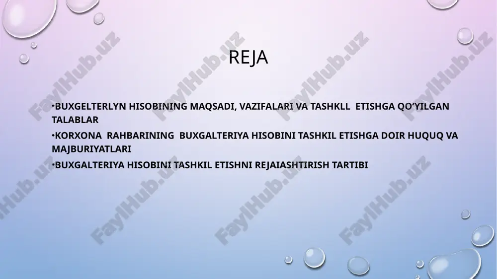 buxgalteriyahisobini tashkil etish - Page 2