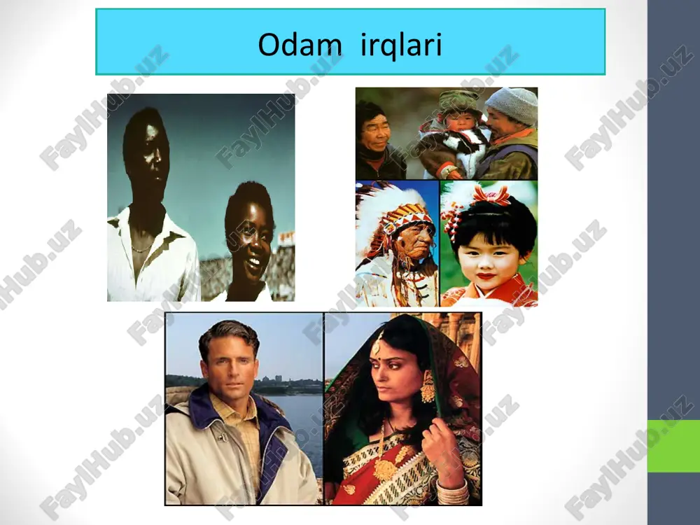 i va gorizontal joy olmaganligi, tashqi uchi ichkisiga qaraganda yuqoriroq turishi bilan ajralib turadi. ko‘z yorig‘i ancha tor va kalta. sochlari qattiq, to‘g‘ri, qora. soqol- mo‘ylovlari yevropoidlarga nisbatan kam o‘sgan. yuzi birmuncha cho‘zilgan va pastroq. lablari o‘rtacha qalinlikda. uchlamchi yung qoplami deyarli bo‘lmaydi. ular osiyo qit’asida ko‘p uchraydi. mongoloid katta irqi shimoliy osiyo, uzoq sharq, janubiy osiyo, amerika kabi irqlarga ajraladi. mongoloid irqi bilan evropeoid irqi oralig‘ida ural, janubiy sibiryalik irqlar bor. mongoloid qiz avstralo – negroid katta irqi. bu irq ikki tarmoqqa afrika yoki negroid va okeaniya yoki avstroloidga ajraladi. ular o‘rtasida o‘xshashliklar bilan sezilarli tafovutlar ko‘zga tashlanadi. negrlarni badanida yung qoplami ko‘pincha bo‘lmaydi. avstraloidlar ayniqsa melaneziyaliklarda va popuaslarda yung qoplami kuchli rivojlangan. negrlarning boshlaridagi sochlari popuaslar yoki melaneziyaliklaridagiga qaraganda ko‘proq jingalak. negrlarning peshanasi to‘g‘ri, peshana do‘nglari yaxshi ifodalansa avstraloidlarniki esa peshanasi ancha qiya qosh ust ravoqlari kuchli, negrlarda esa sust rivojlangan. negroidlarning afrikada, avstraloidlardan mustaqil holda rivojlanganligini isboti …